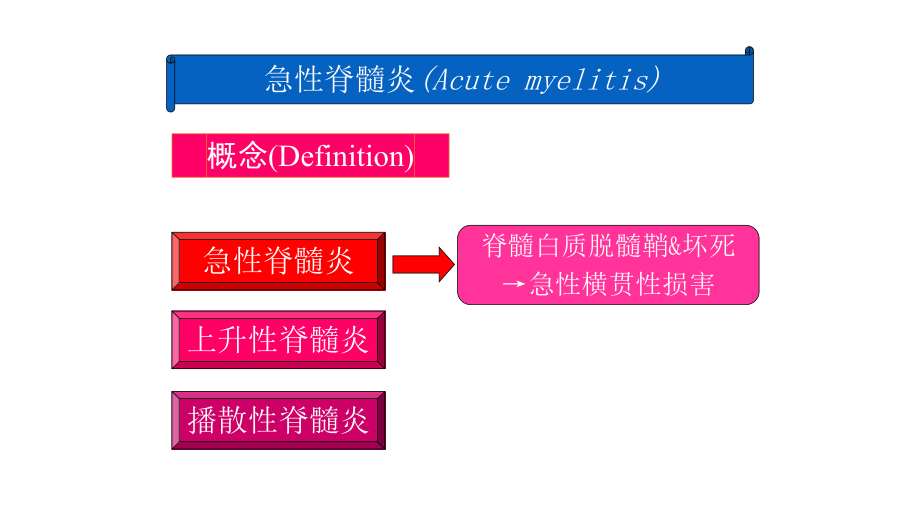 急性脊髓炎课件.pptx_第3页