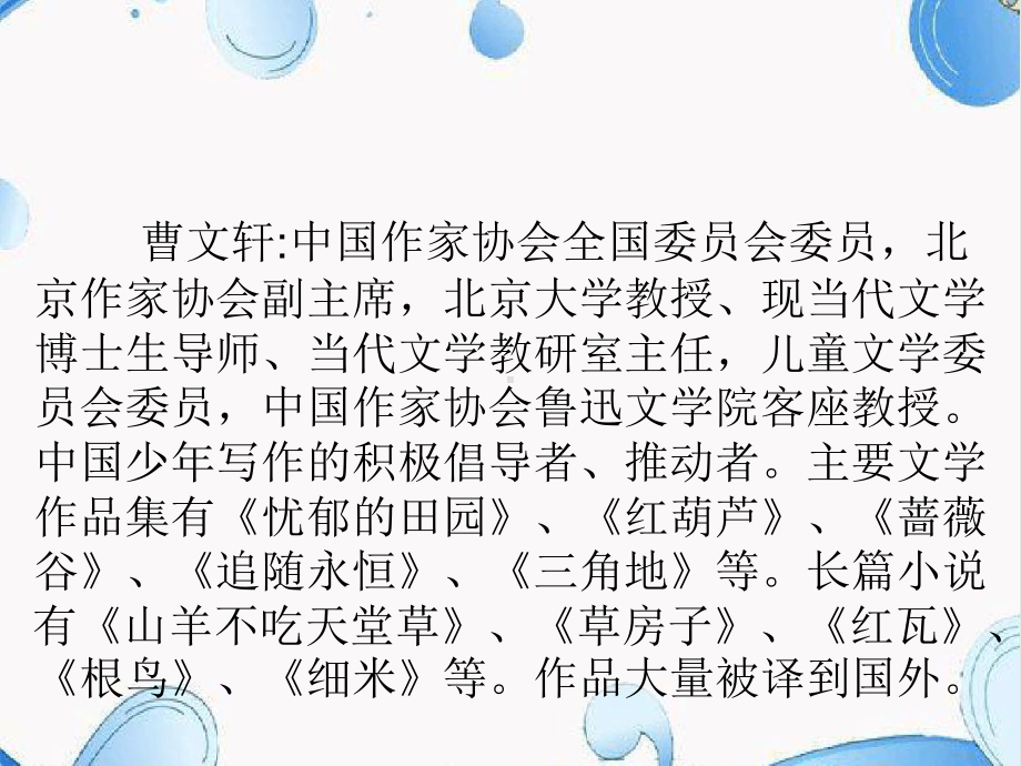 五年级组读书汇报课青铜葵花课件.ppt_第2页