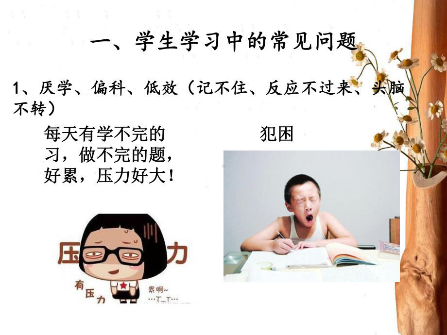 学科学习困难诊断与辅导课件.ppt_第3页