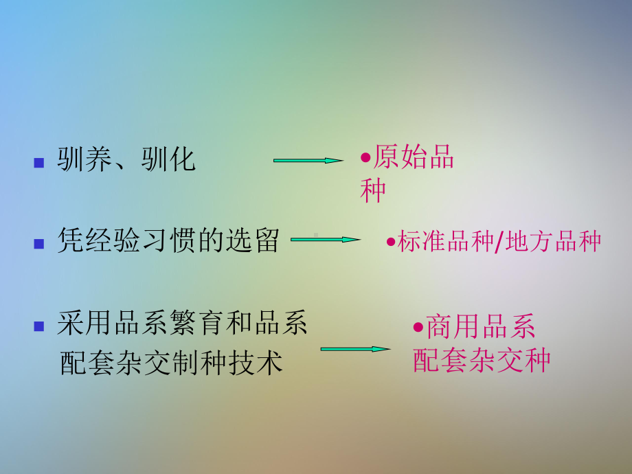 家禽育种技术及繁育体系建设课件.pptx_第3页