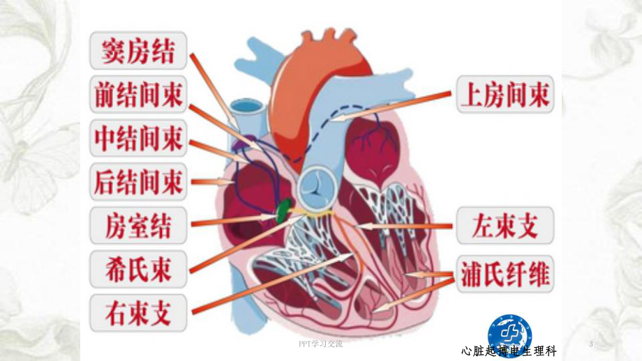 心律失常患者健康教育课件.ppt_第3页