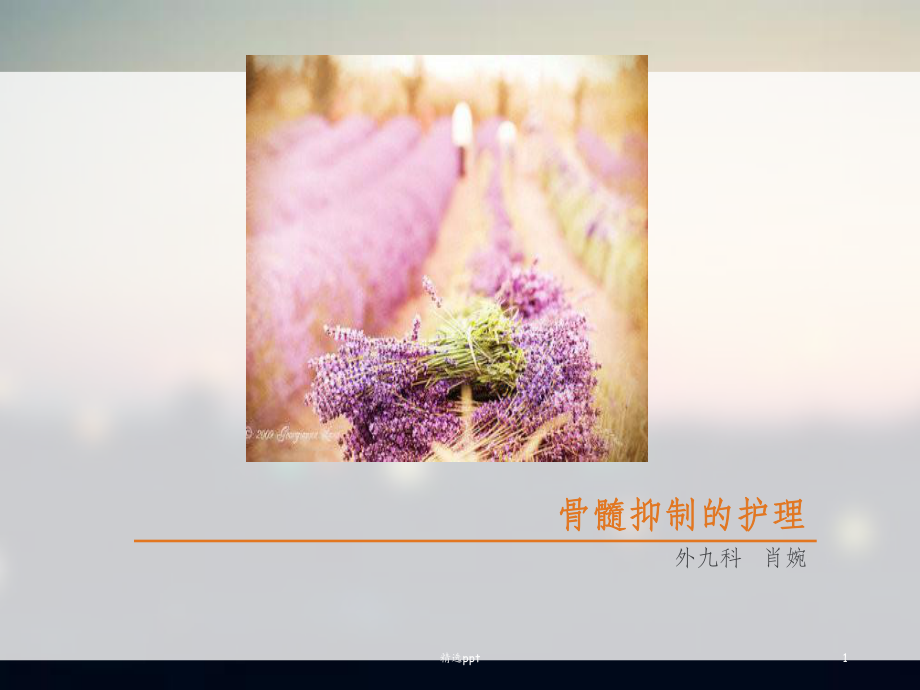 骨髓抑制的护理PPT课件.ppt_第1页