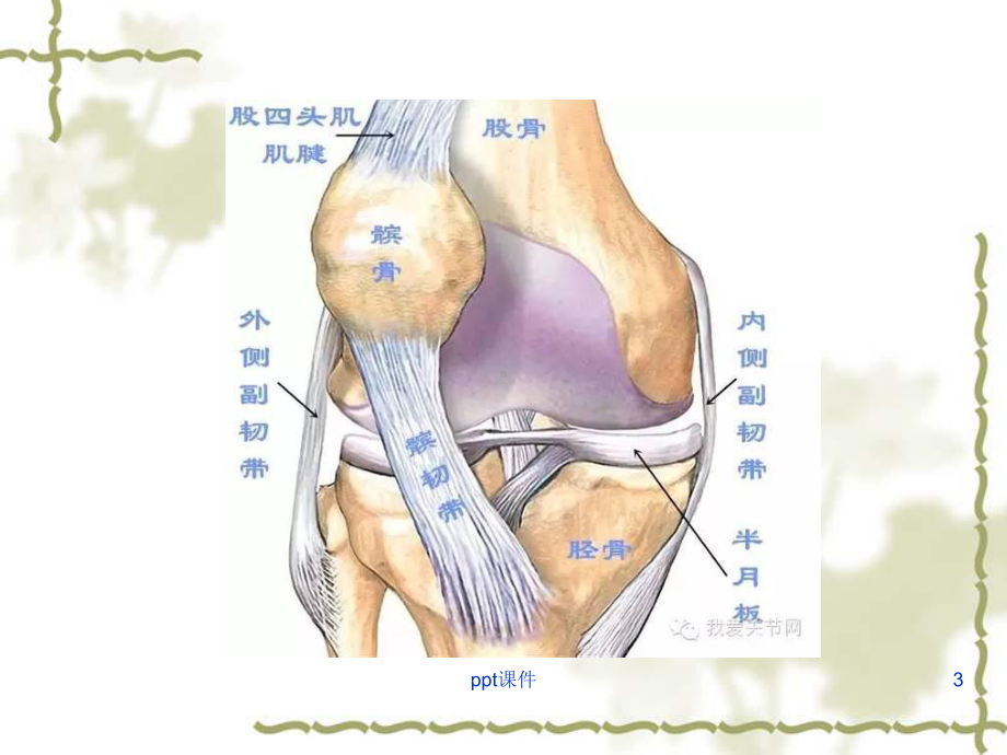 髌骨骨折-ppt课件.ppt_第3页