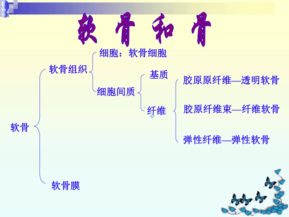 组织胚胎学之软骨与骨课件.ppt_第3页