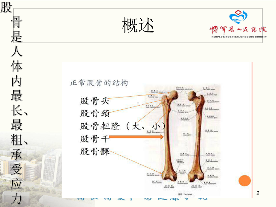 股骨骨折的健康宣教-ppt课件.ppt_第2页