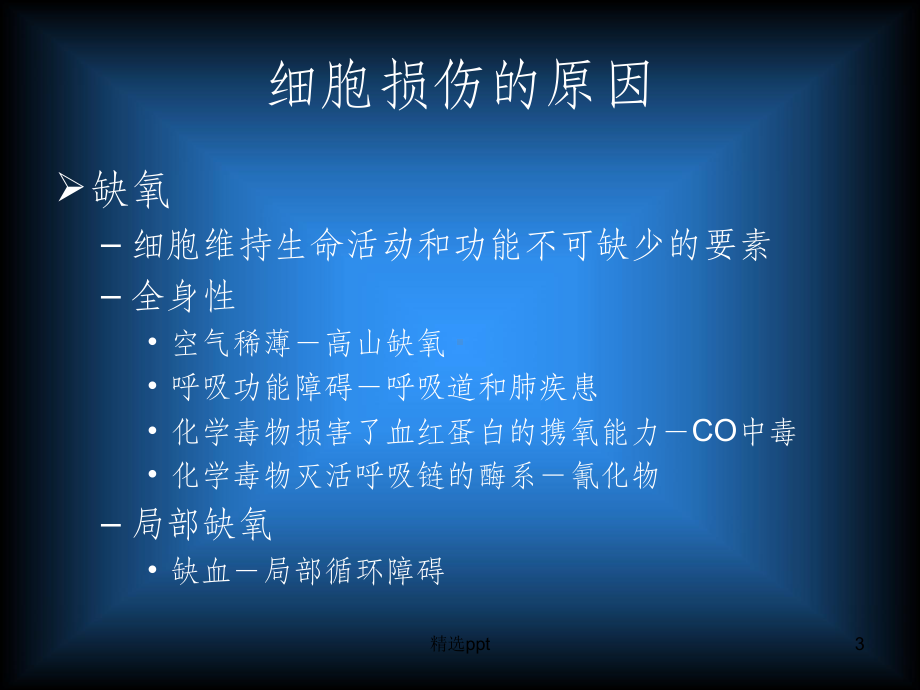 股骨头缺血坏死PPT课件.ppt_第3页