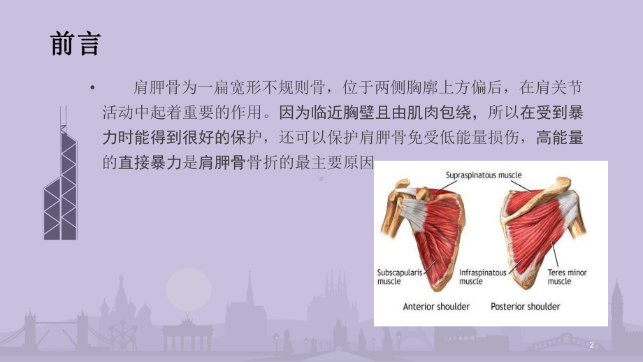 肩胛骨骨折PPT课件.pptx_第2页