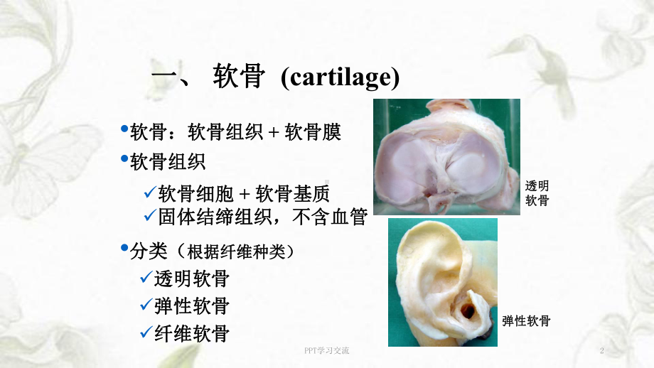 组织学：软骨和骨PPT课件.ppt_第2页