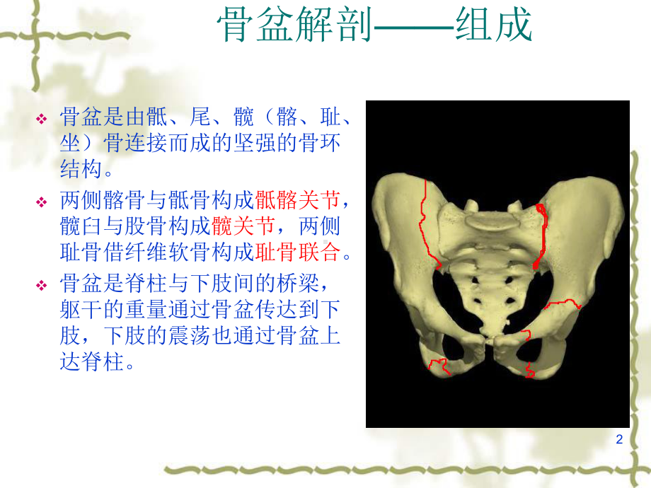 骨盆骨折处理PPT课件.ppt_第2页