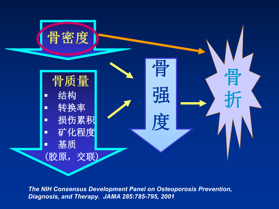 骨质疏松的诊断和治疗进展课件.ppt_第3页