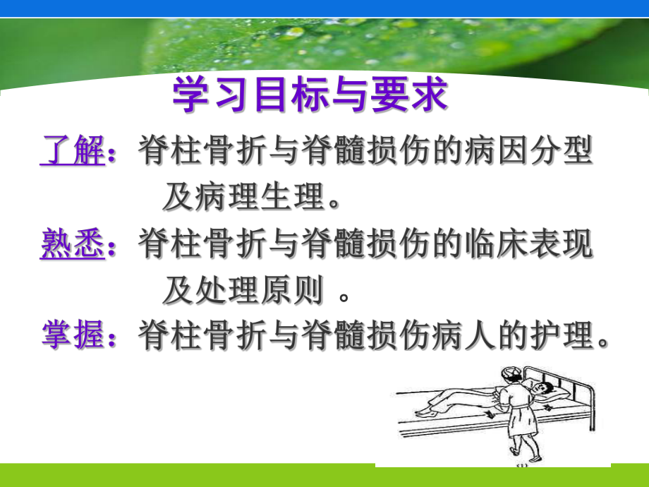 脊柱骨折与脊髓损伤病人的护理ppt课件.ppt_第2页