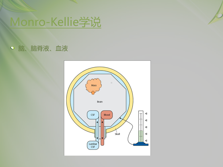 大骨瓣减压在重度脑外伤的作用-ppt课件.ppt_第3页