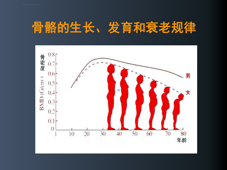 骨质疏松症的危害诊断和治疗演示ppt课件.ppt_第3页