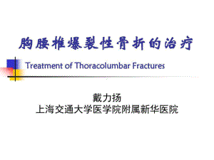 胸腰椎爆裂性骨折的治疗共58页课件.ppt