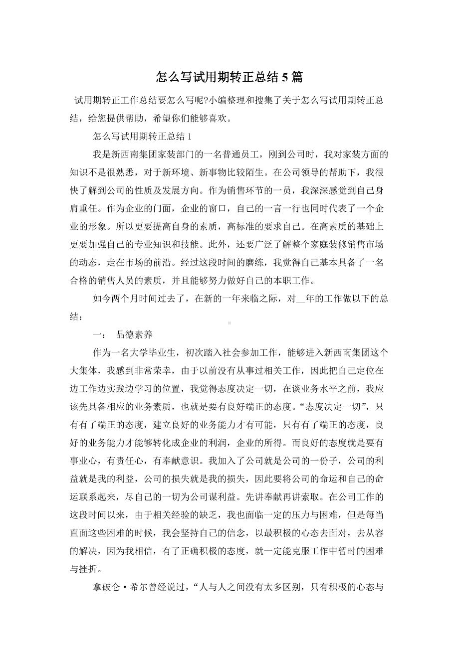 怎么写试用期转正总结5篇.doc_第1页