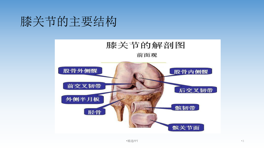 膝关节周围骨折术后康复课件.ppt_第3页