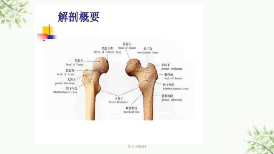 骨科教学查房-课件.pptx_第2页