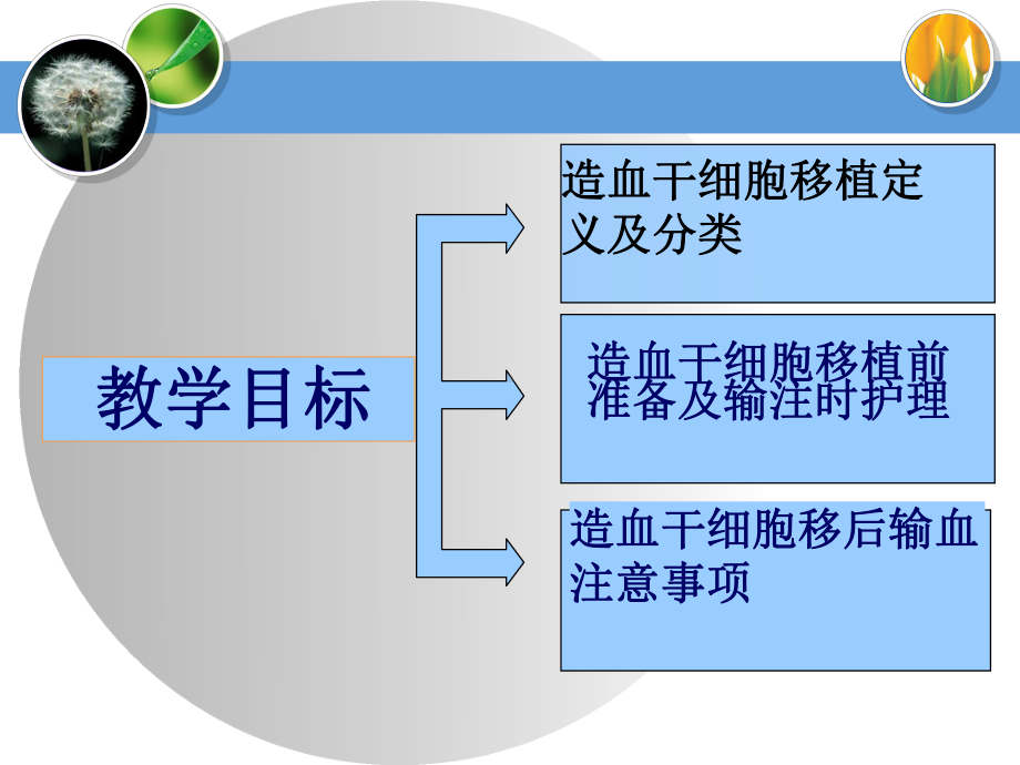 [临床医学]骨髓移植-PPT课件.ppt_第2页