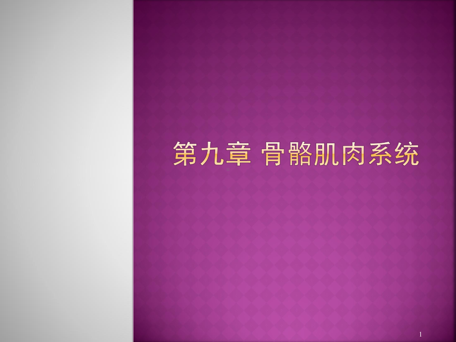 骨关节化脓性感染影像诊断ppt课件.ppt_第1页