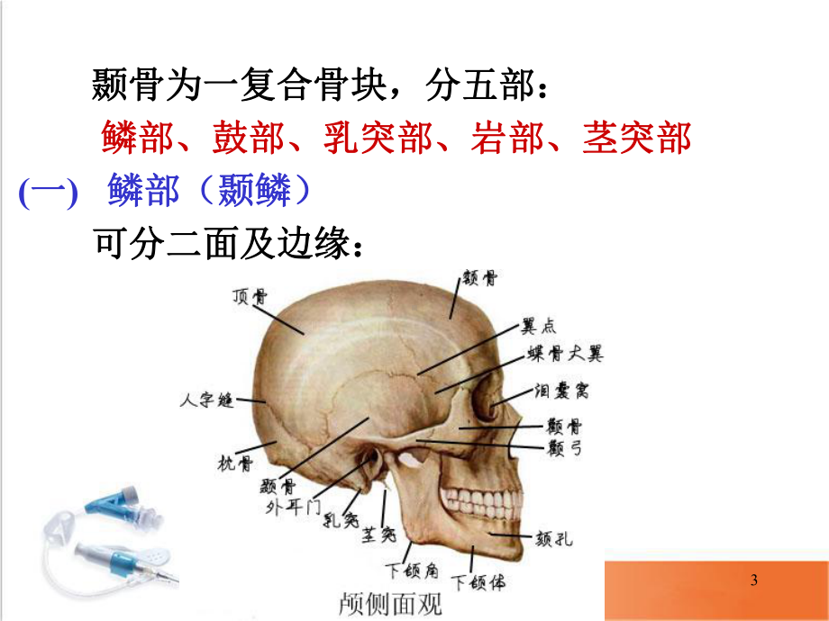 颞骨的解剖PPT幻灯片课件.ppt_第3页