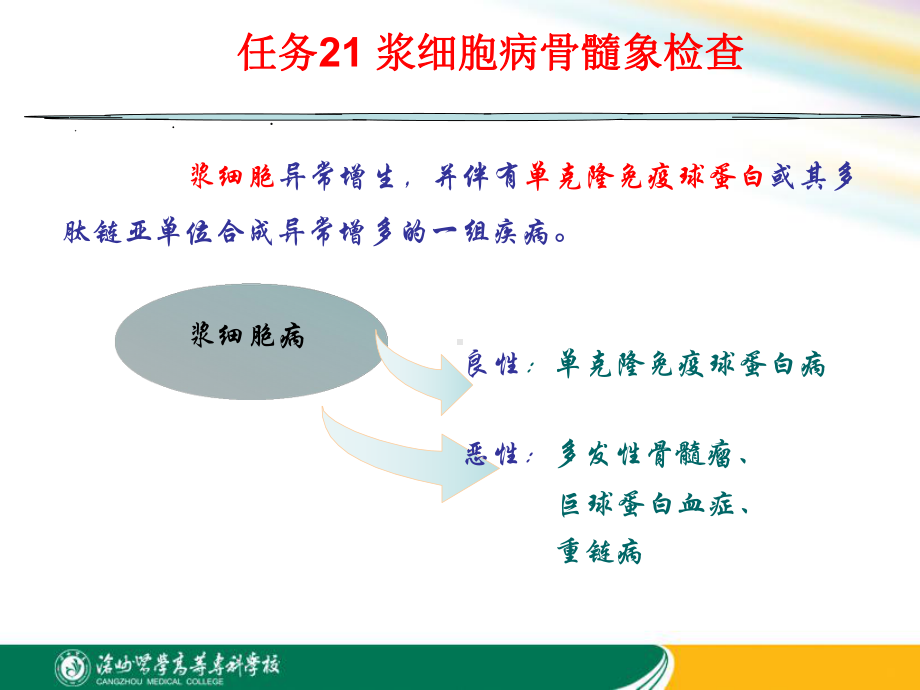 骨髓瘤细胞课件.ppt_第2页