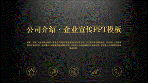 黑金配色磨砂底图的公司简介企业宣传讲课PPT课件.pptx