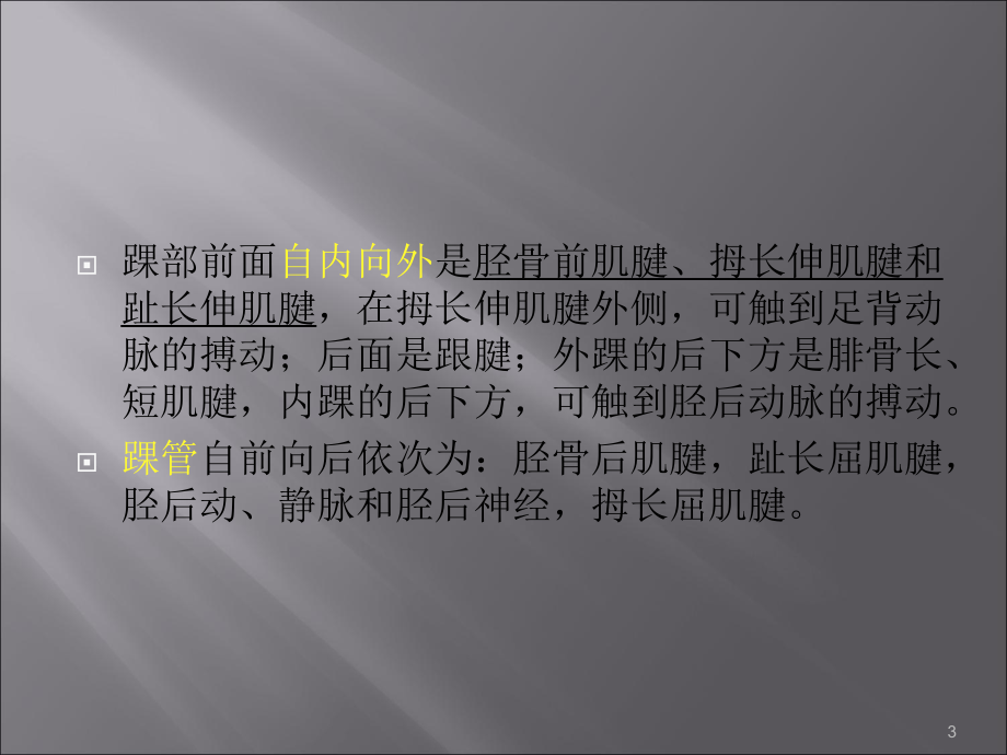 踝关节骨折PPT课件.ppt_第3页