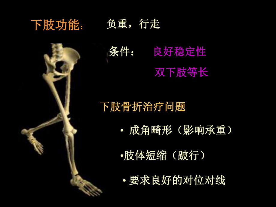 下肢骨折PPT课件.ppt_第3页