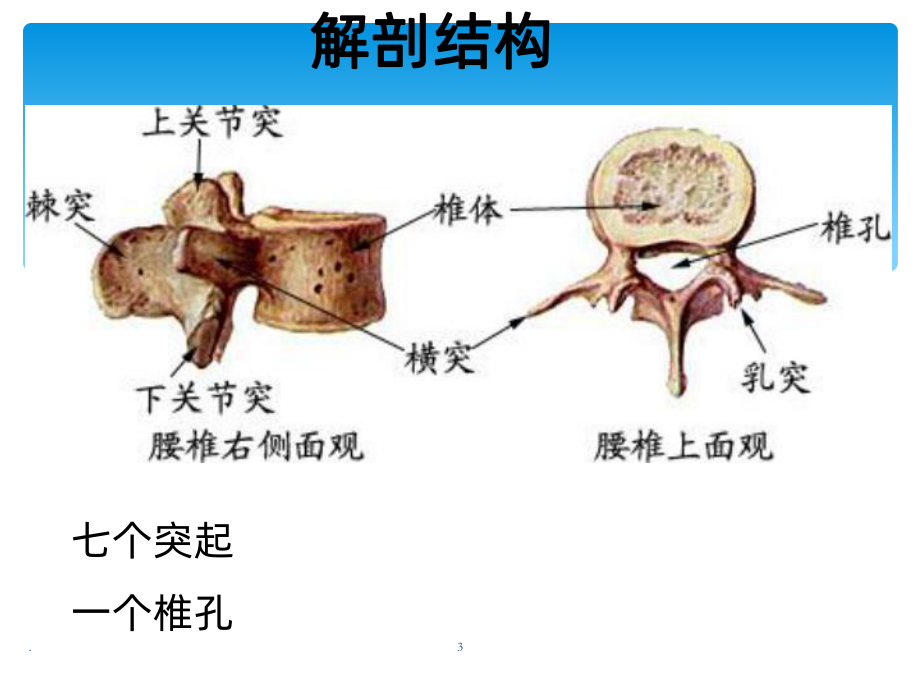 腰椎骨折患者的护理ppt课件.ppt_第3页