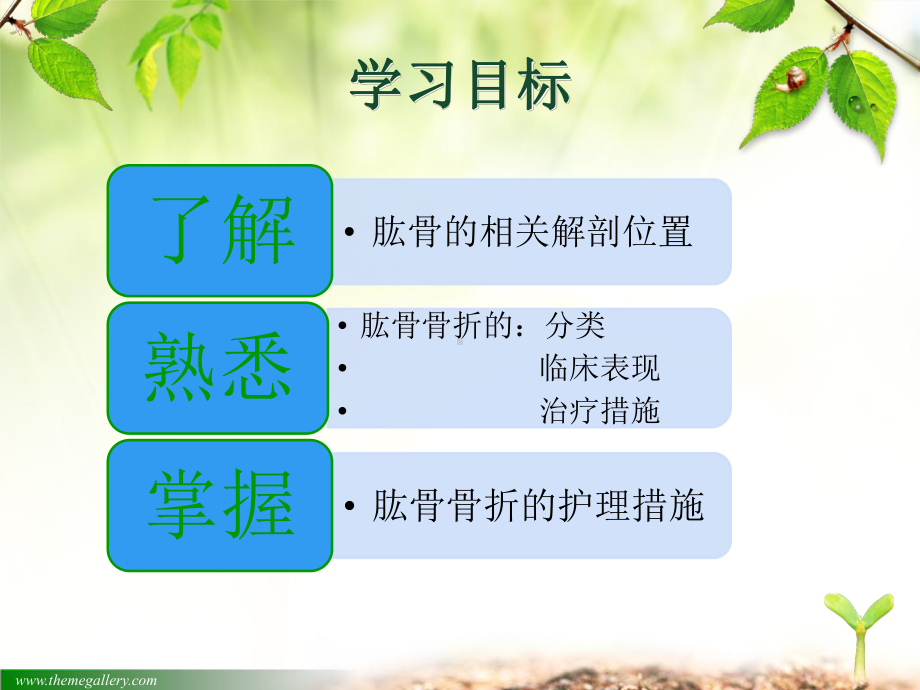 肱骨骨折患者护理查房课件.ppt_第3页