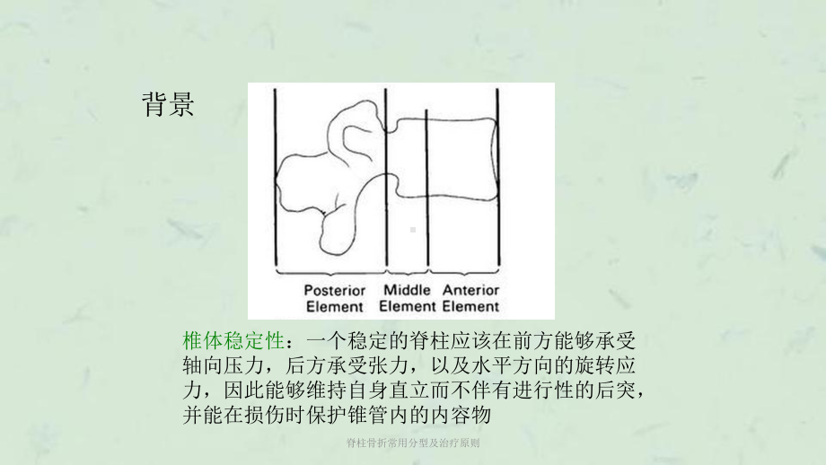 脊柱骨折常用分型及治疗原则课件.ppt_第3页