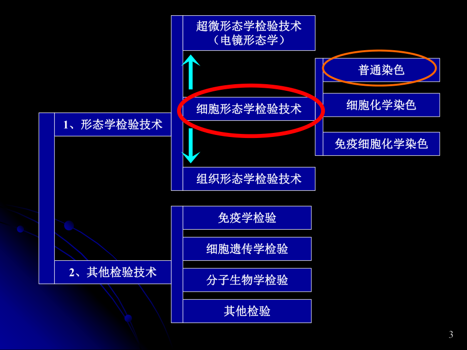 临床血液学检验-1-7-造血检验基本方法1血象和骨髓象检验课件.ppt_第3页