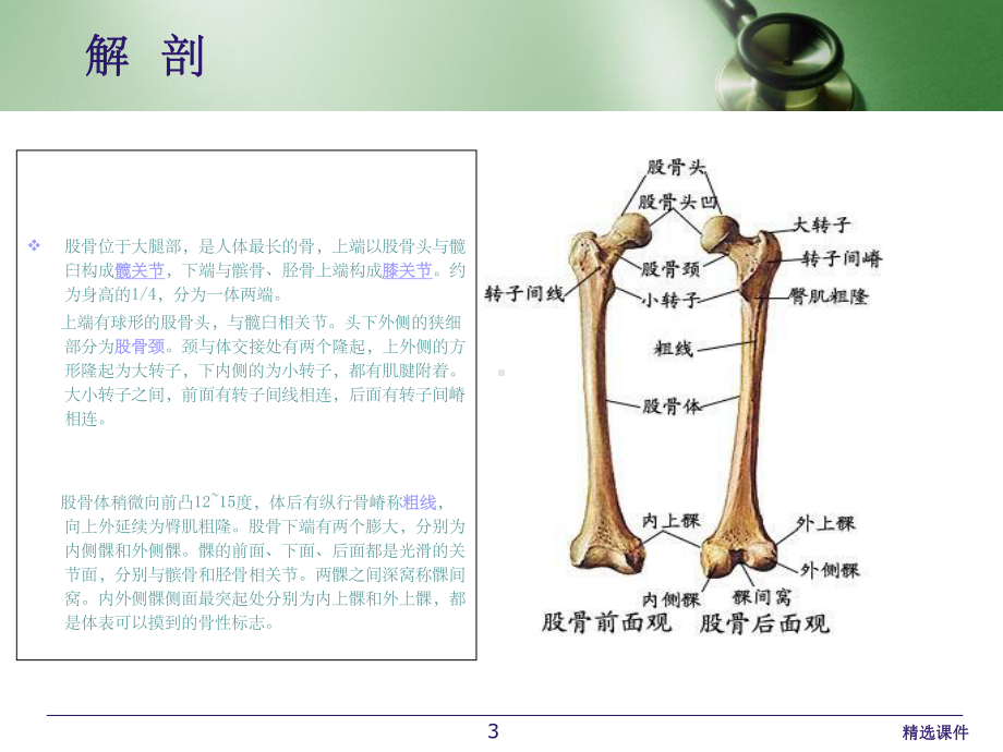 股骨髓内钉内固定术ppt课件.ppt_第3页