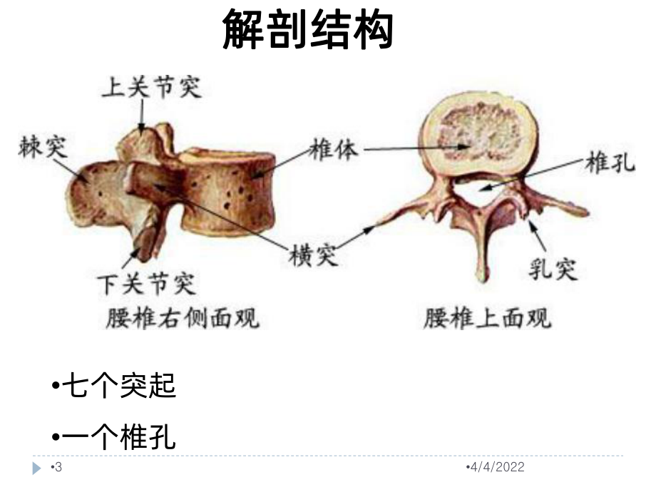 腰椎骨折患者的护理-PPT课件.ppt_第3页