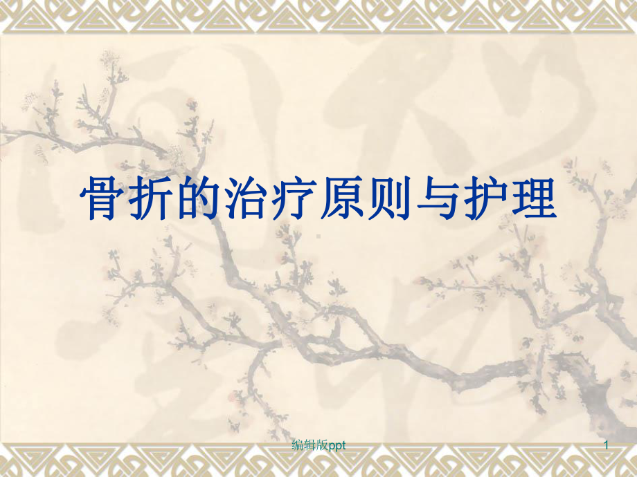 骨折的治疗原则与PPT课件.ppt_第1页