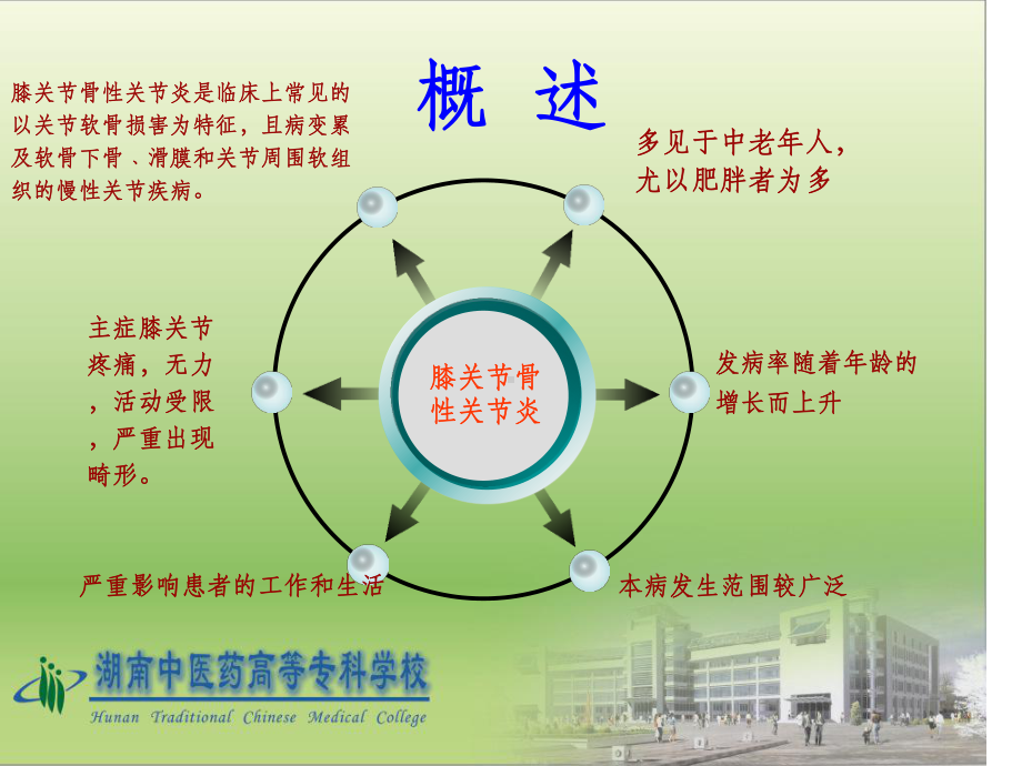 针灸治疗膝关节骨性关节炎技术课件.ppt_第3页