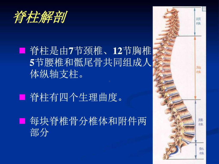 脊柱骨折固定与搬运ppt课件.ppt_第3页