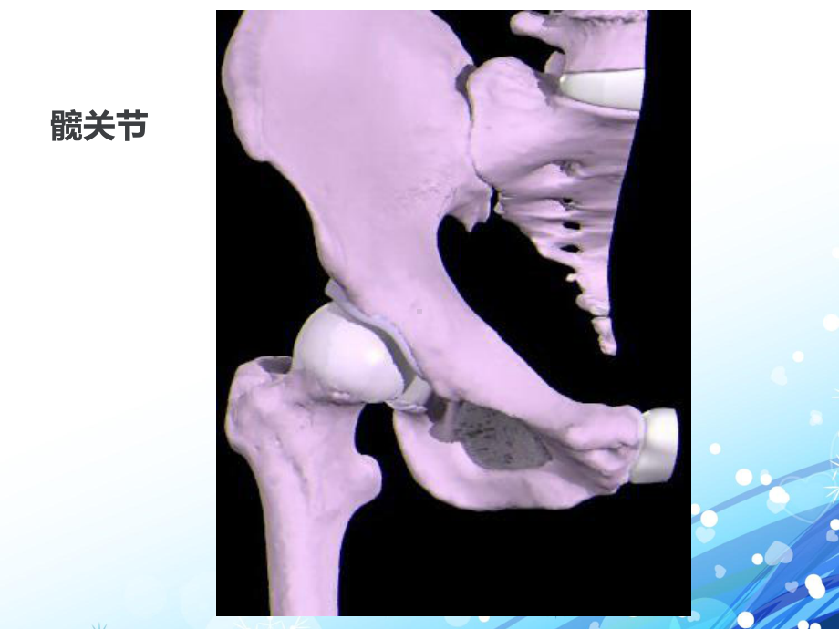 股骨颈骨折和股骨粗隆间骨折-ppt课件.ppt_第3页