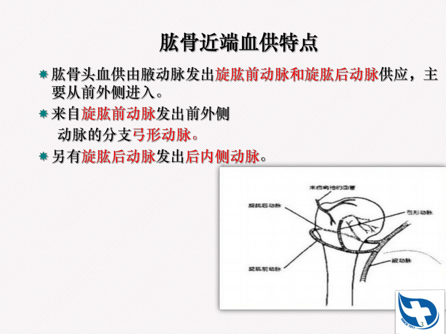 肱骨近端骨折分型及治疗PPT课件.ppt_第3页