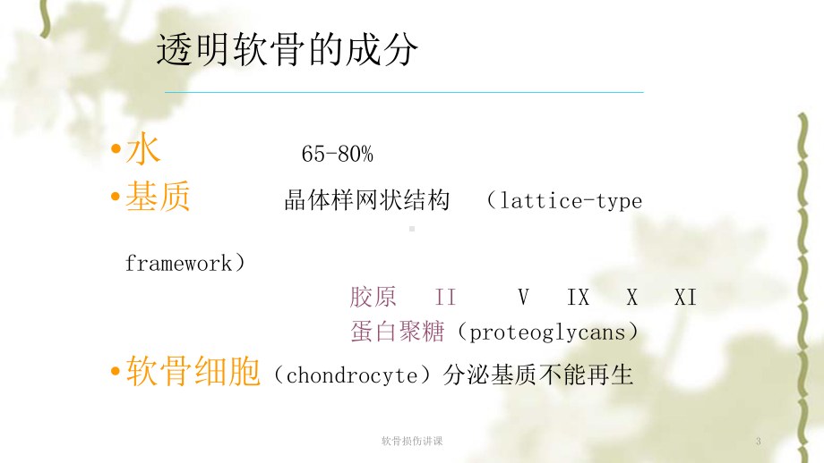 软骨损伤讲课ppt课件.ppt_第3页