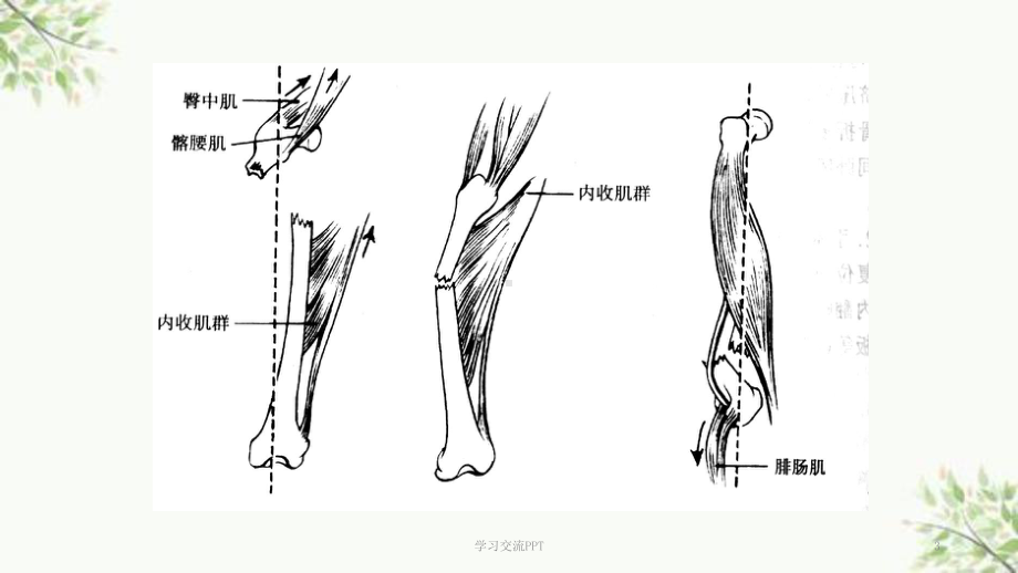 骨科课件.ppt_第3页