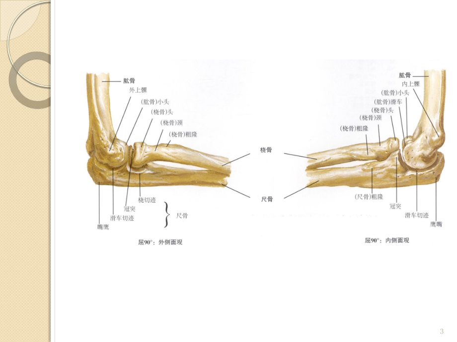 儿童常见肘关节骨折PPT课件.ppt_第3页