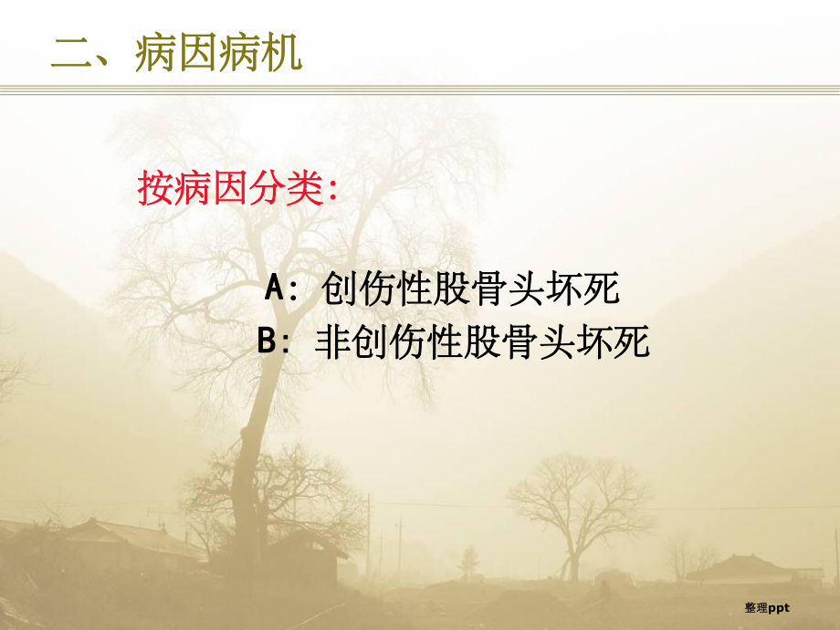 股骨头坏死(定义)课件.ppt_第2页