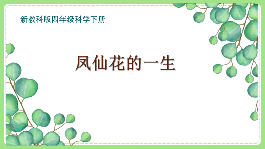 新教科版四年级小学科学下册第一单元《8凤仙花的一生》课件.pptx_第1页