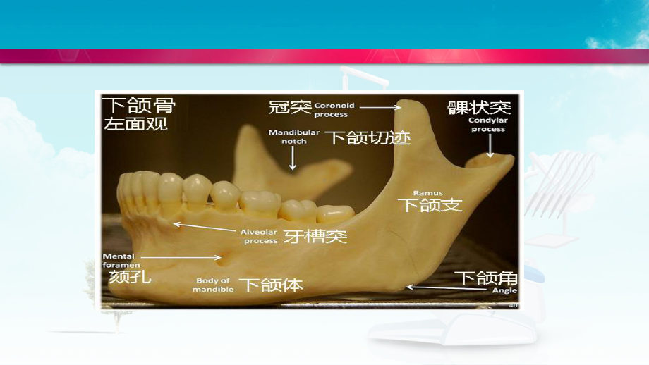 下颌骨囊肿ppt课件.pptx_第3页