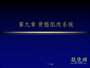 骨与关节创伤影像诊断PPT课件.ppt