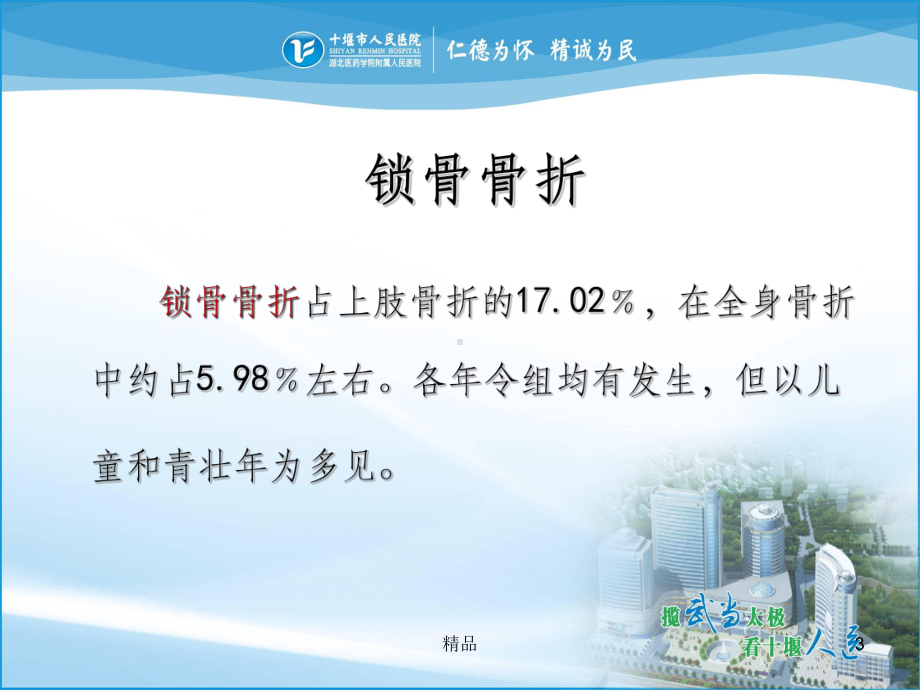 锁骨骨折完整ppt课件.ppt_第3页