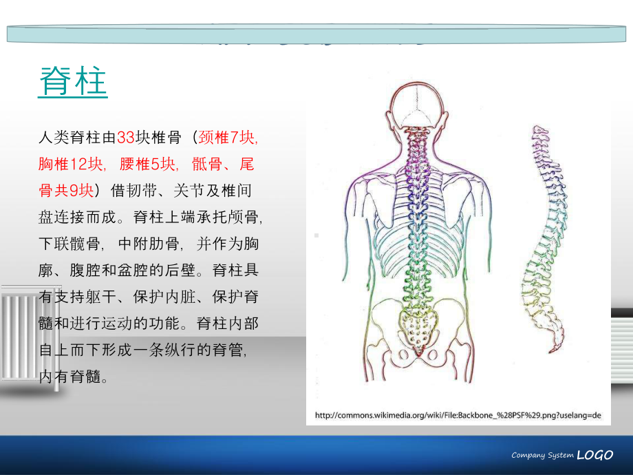 胸椎体压缩性骨折护理查房PPT课件.pptx_第3页