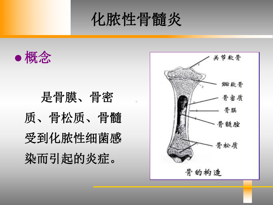 骨与关节感染病人的护理课件.ppt_第3页