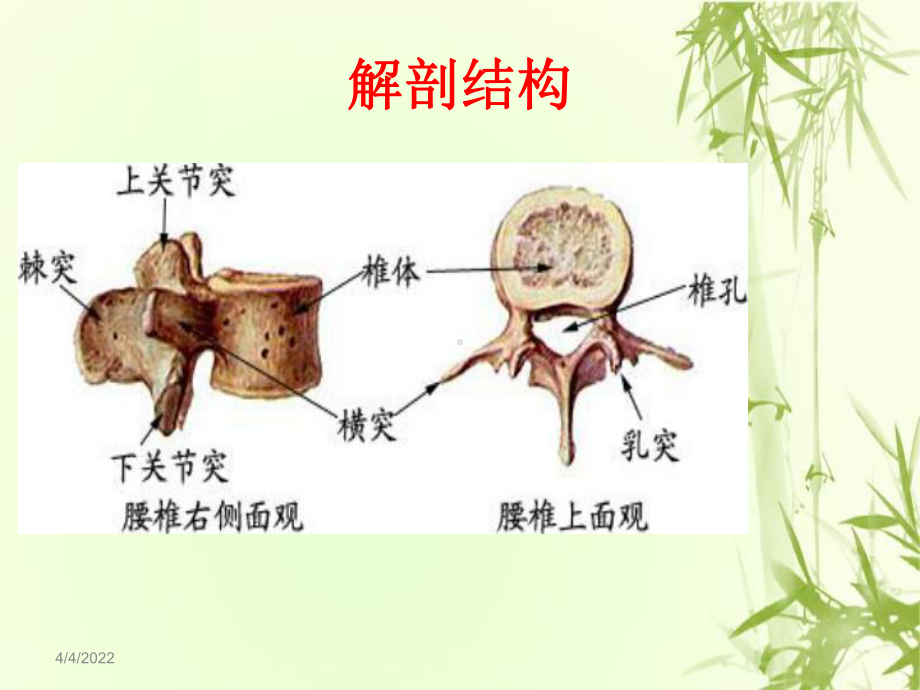 腰椎骨折的围手术期护理-ppt课件40页PP.ppt_第3页